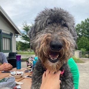 Meet your Posher, Joann